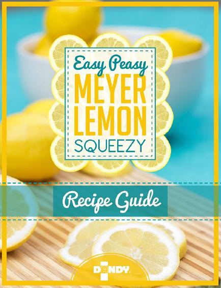 Easy_Peasy_Meyer_Lemon_Squeezy_Cover_Small