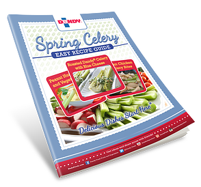 Spring Celery Guide