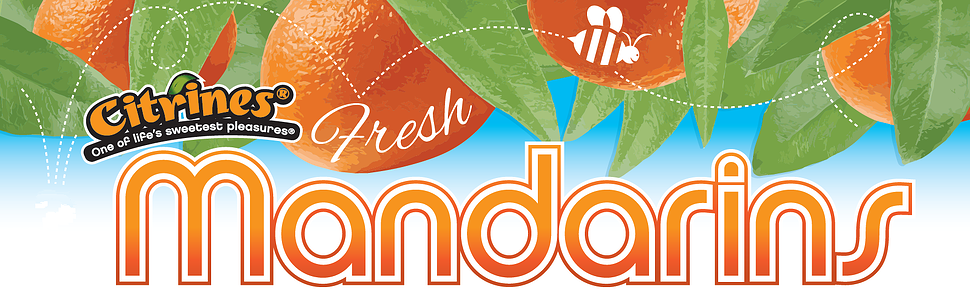 duda_logo.gif