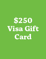 $250 Visa Gift Card