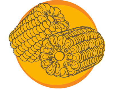 Corn on the cob halves