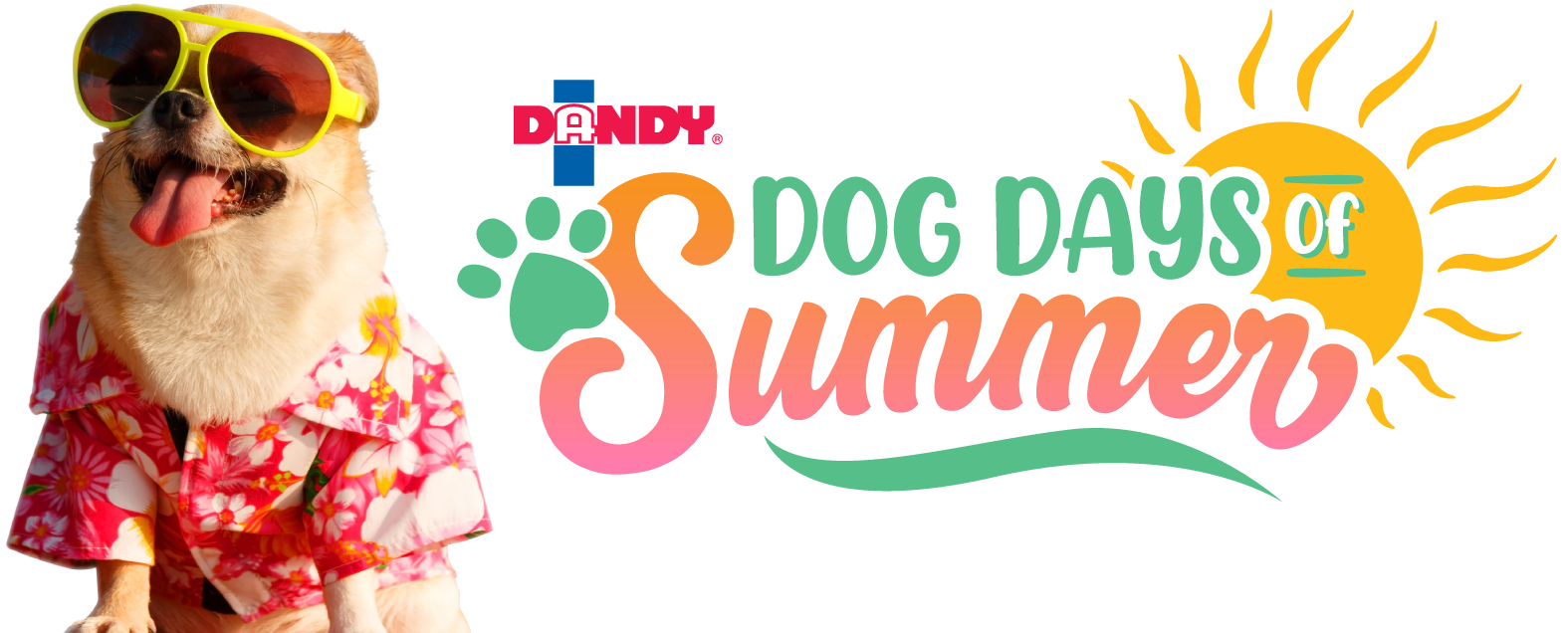 Dandy Dog Days of Summer Logo